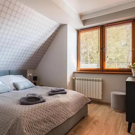 Magnus 코스실리스코